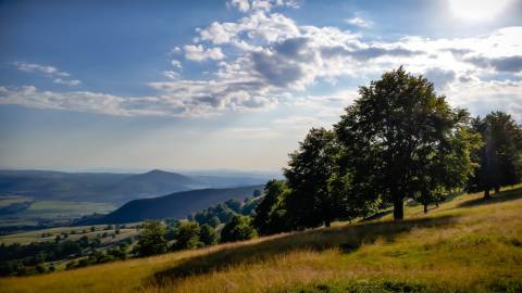 sun, hills & trees landscape